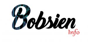 logo_bobsien_info